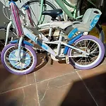 Alma * Bari