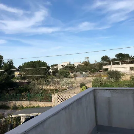 Alma בארי