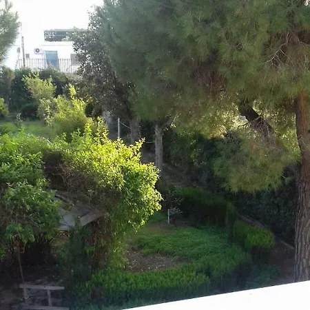 וילה Alma בארי