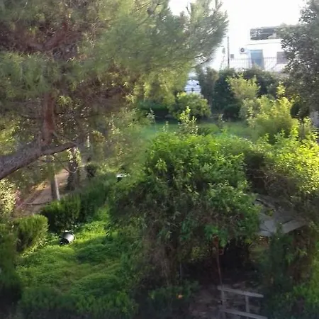 Alma Villa